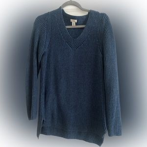 L.L. Bean Blue V-Neck Sweater